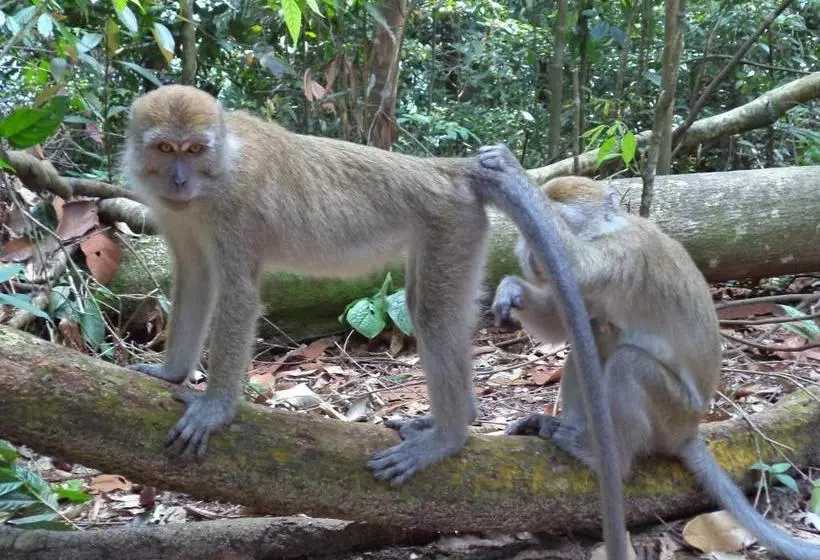 Majatalo Ida Guest House & Jungle Trekking