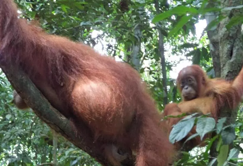 Majatalo Ida Guest House & Jungle Trekking