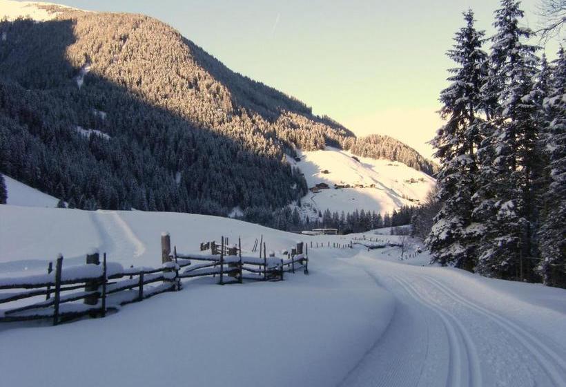 Общежитие Zum Sepp