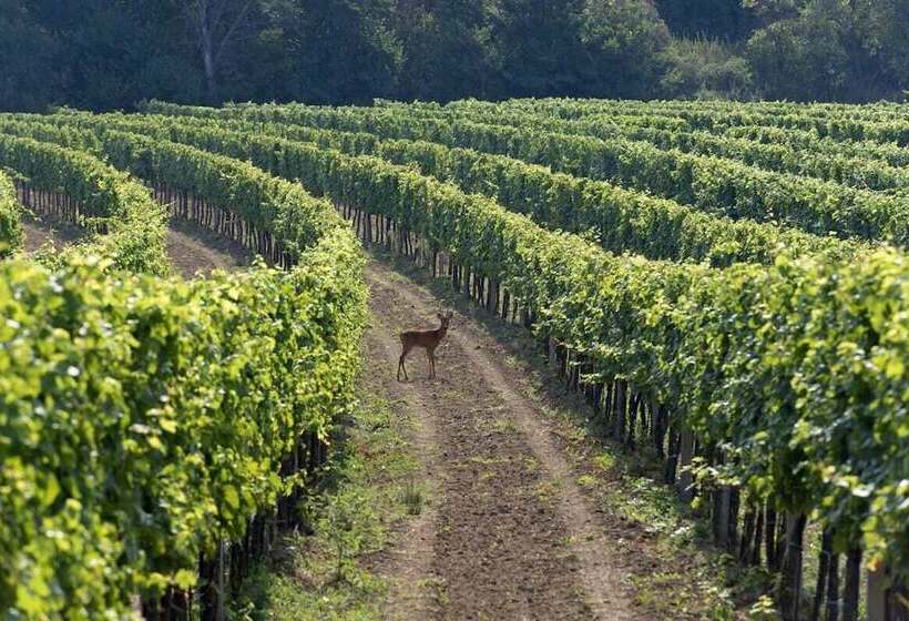 Отель Remushof Jagschitz