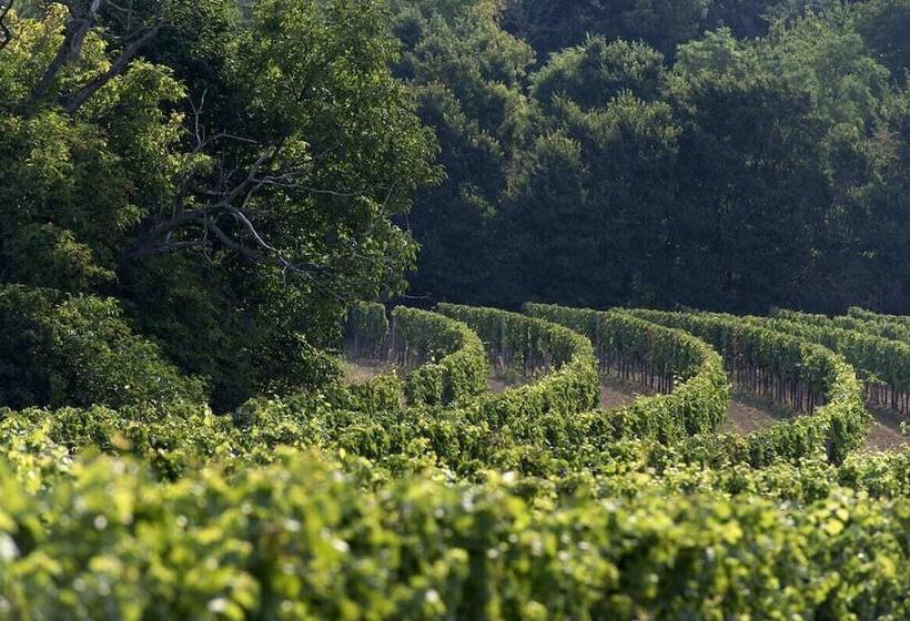 Отель Remushof Jagschitz