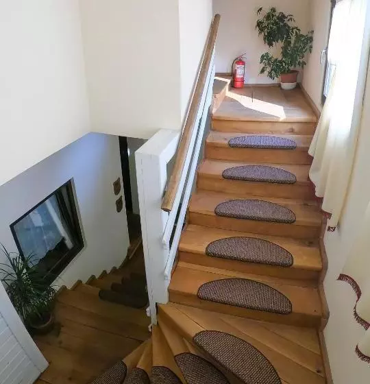 ペンション Casa Veche