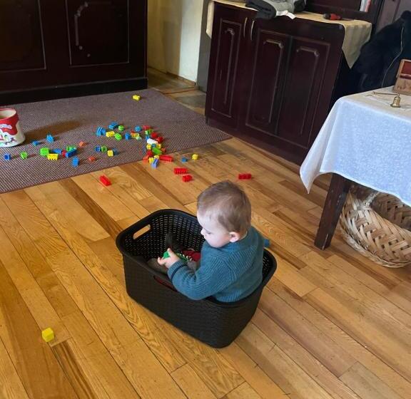 Pensjonat Casa Veche