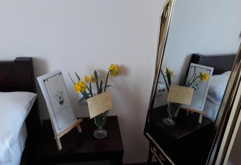 Pensjonat Casa Veche