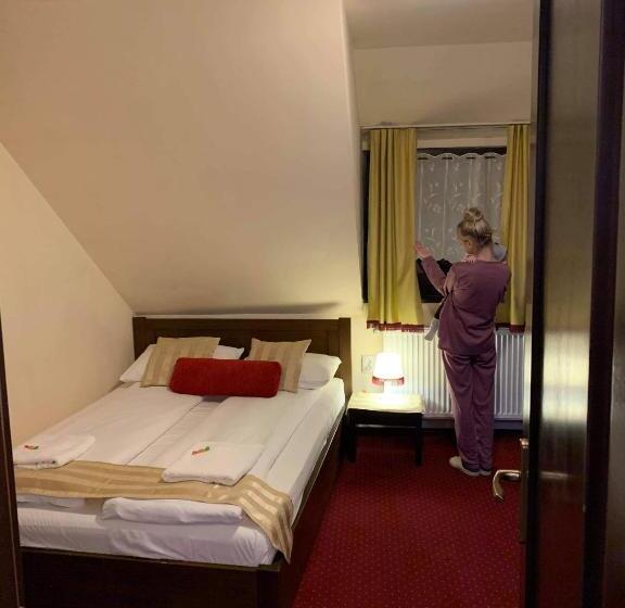 Pensjonat Casa Veche