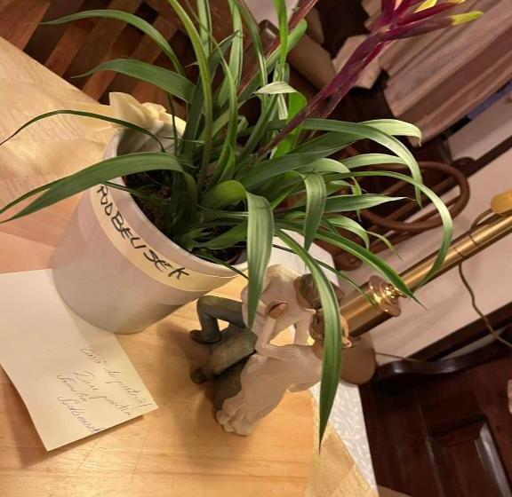 Pensjonat Casa Veche