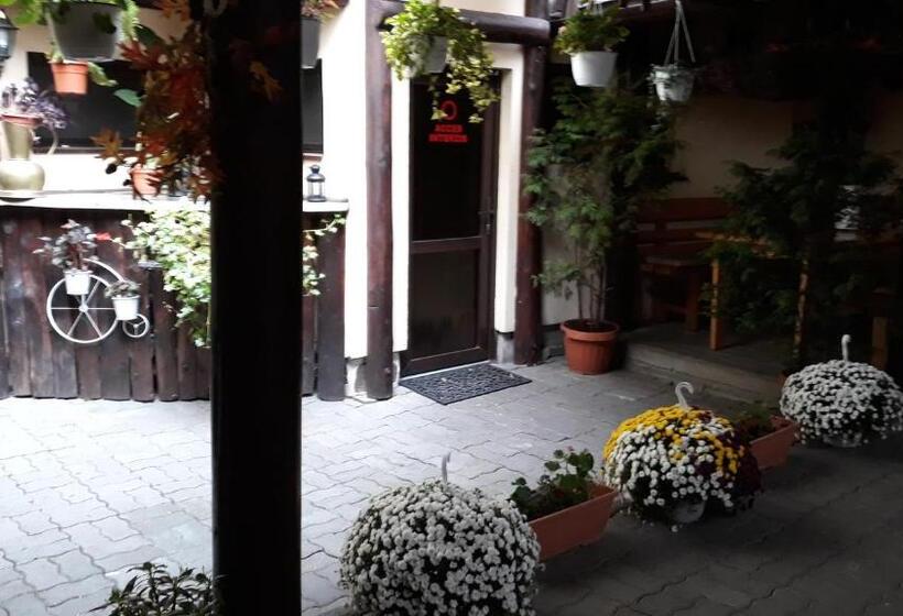 Pensjonat Casa Veche