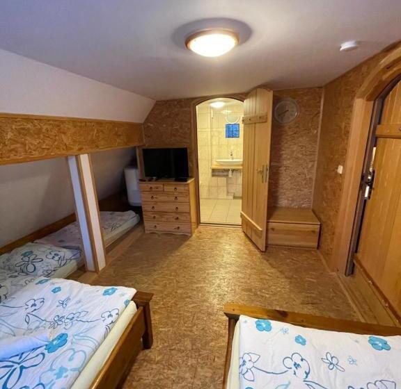 ペンション Hepnarova Bouda