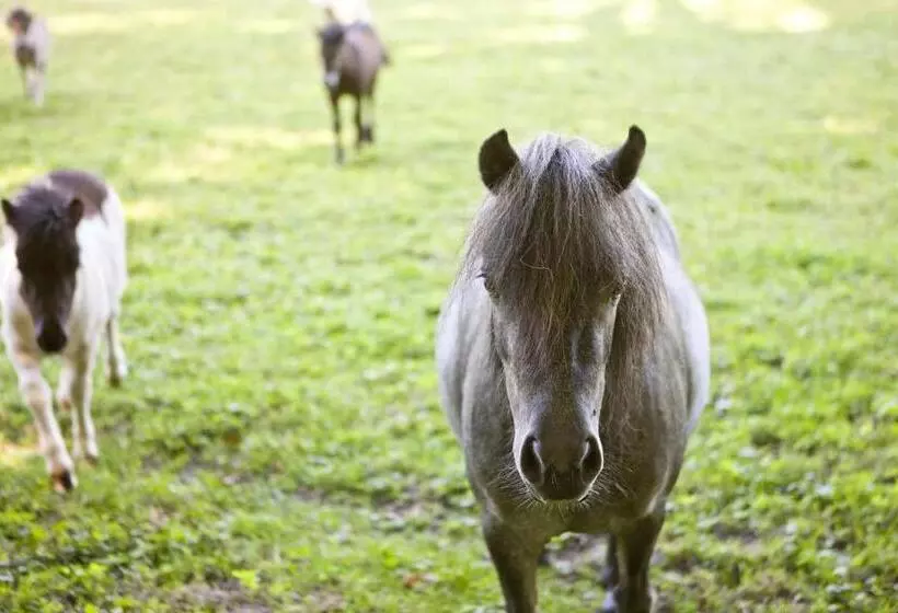 Majatalo Lozerkasteel