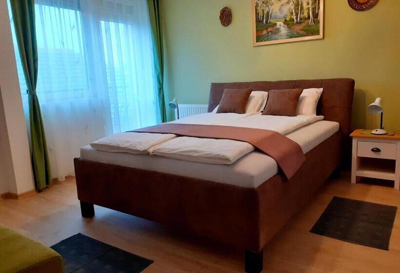 פנסיון Pacsirta Vendégház