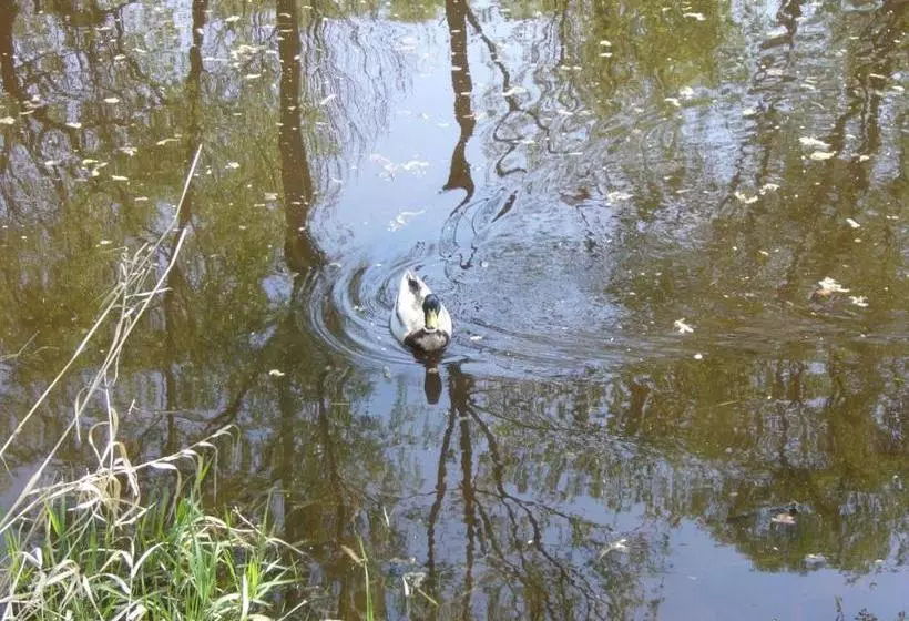 Majatalo S Restaurací Splávek