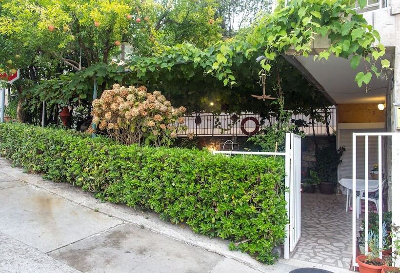 پانسیون Guest House Vucicevic