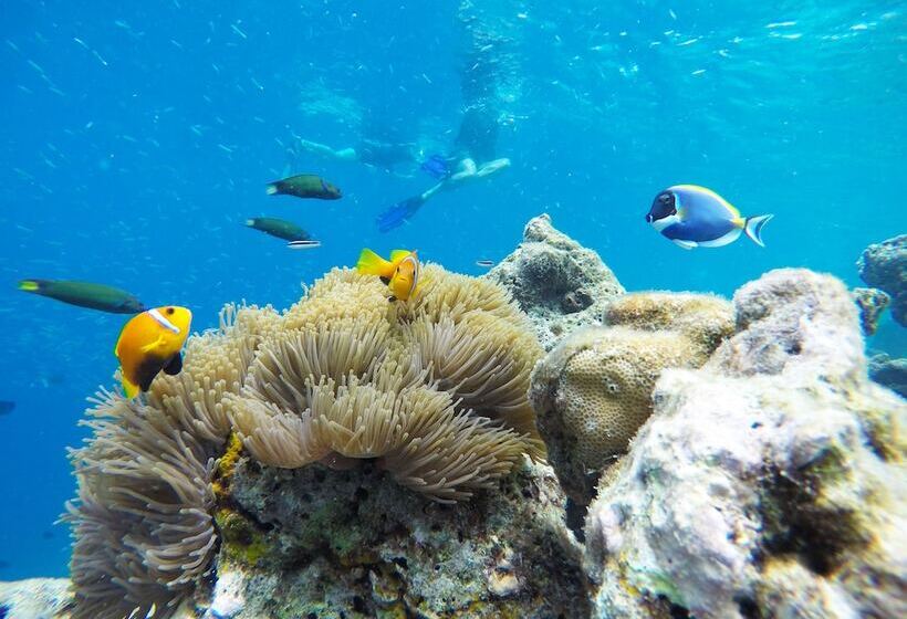 پانسیون Kaafu Inn Guraidhoo