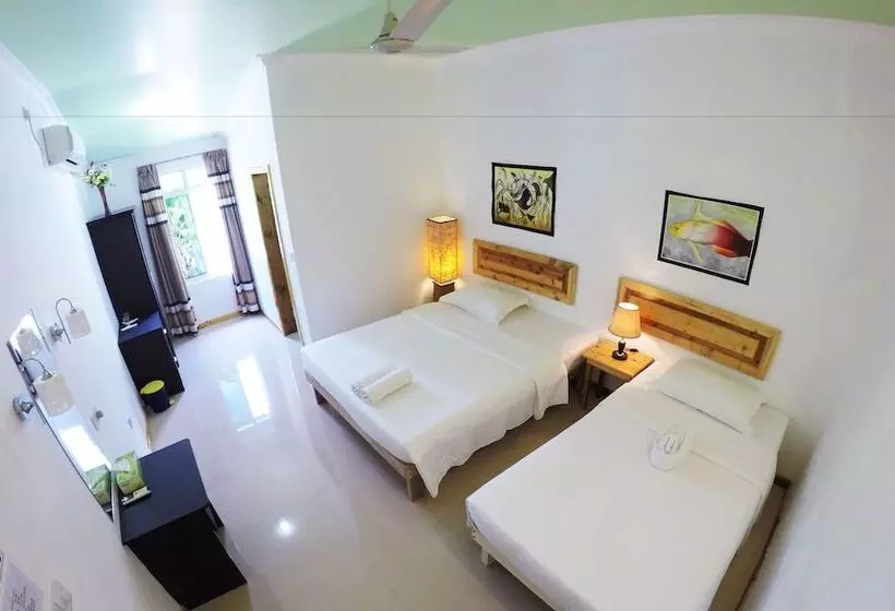 پانسیون Kaafu Inn Guraidhoo