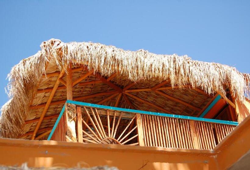 膳宿费 Leo's Baja Oasis