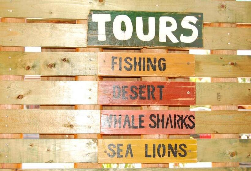 膳宿费 Leo's Baja Oasis