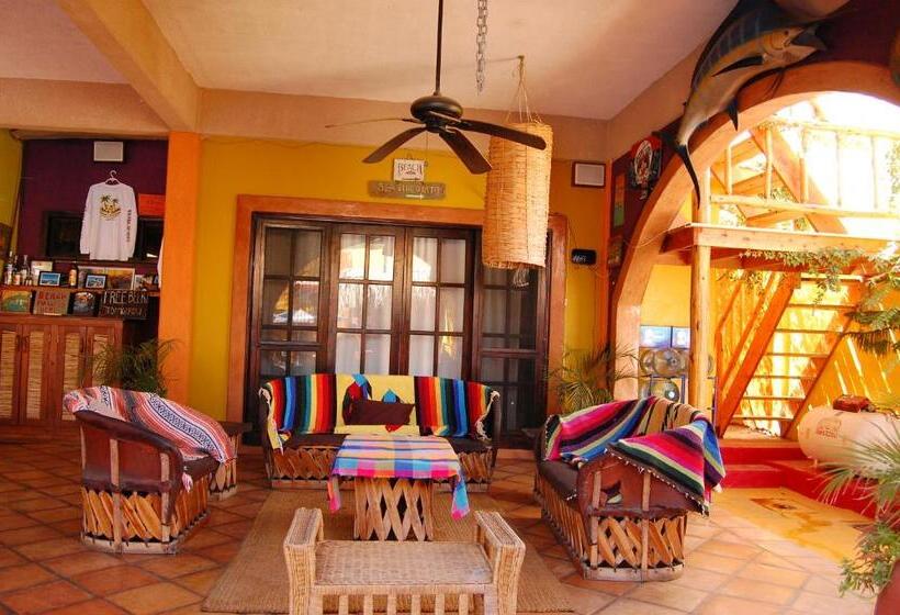 膳宿费 Leo's Baja Oasis