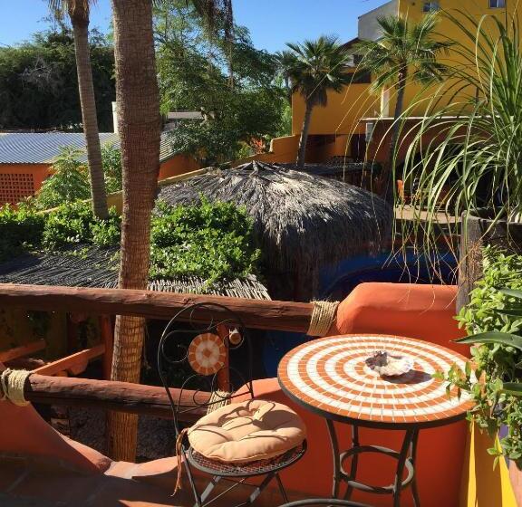 膳宿费 Leo's Baja Oasis