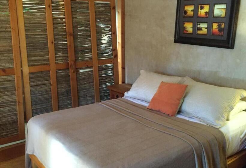 膳宿费 Leo's Baja Oasis