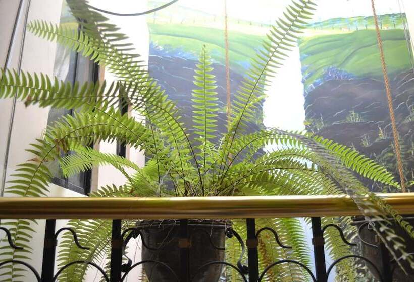 Pension Mashy´s Hostal