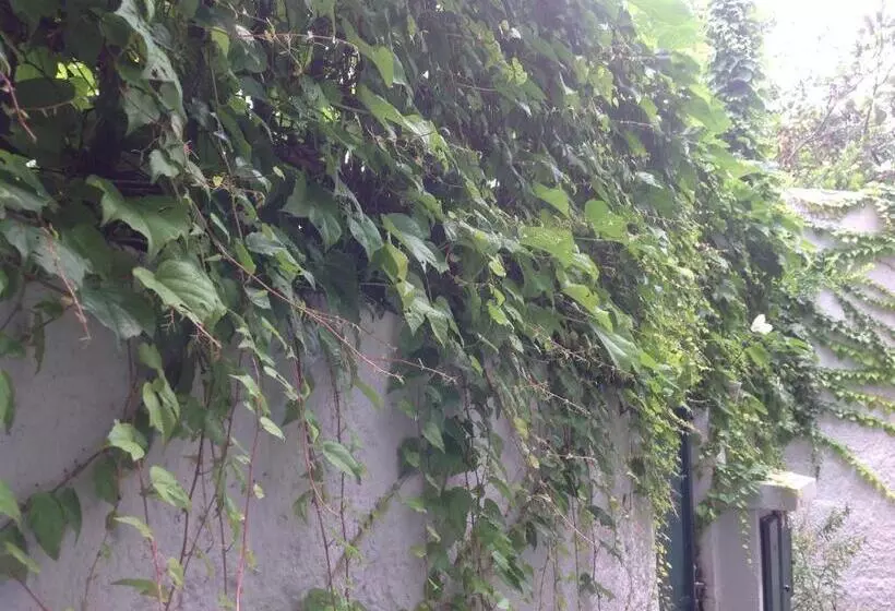 Majatalo Vista Da Serra Pousada De águas