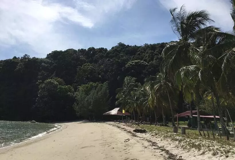 ユースホステル Wild Pasir Panjang