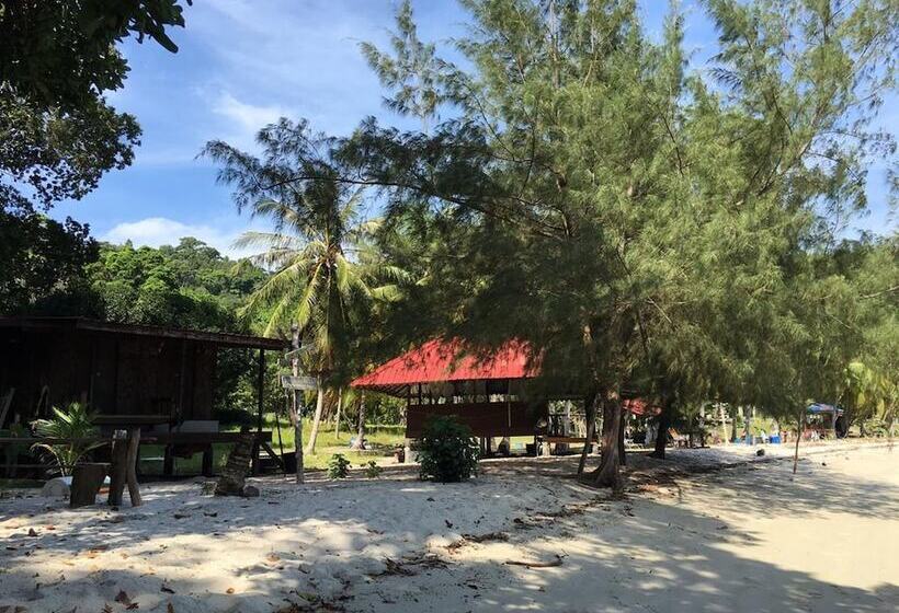 Schronisko Wild Pasir Panjang