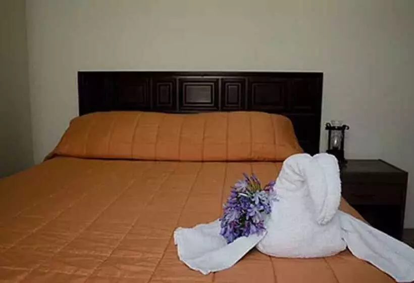 هاستل Y Bungalows Santa Ana