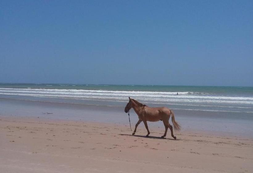 پانسیون Dendê Loft