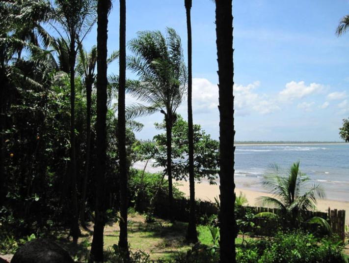 پانسیون Dendê Loft