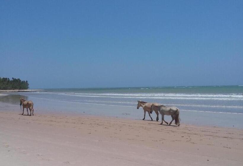 پانسیون Dendê Loft