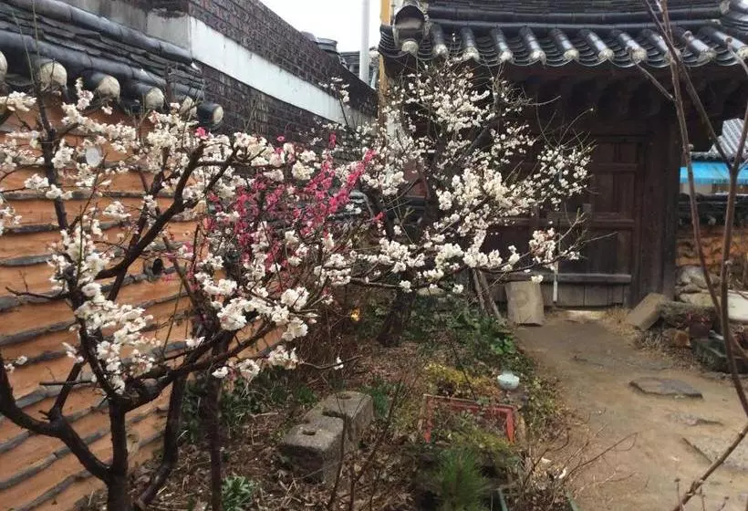 پانسیون Yangsajae