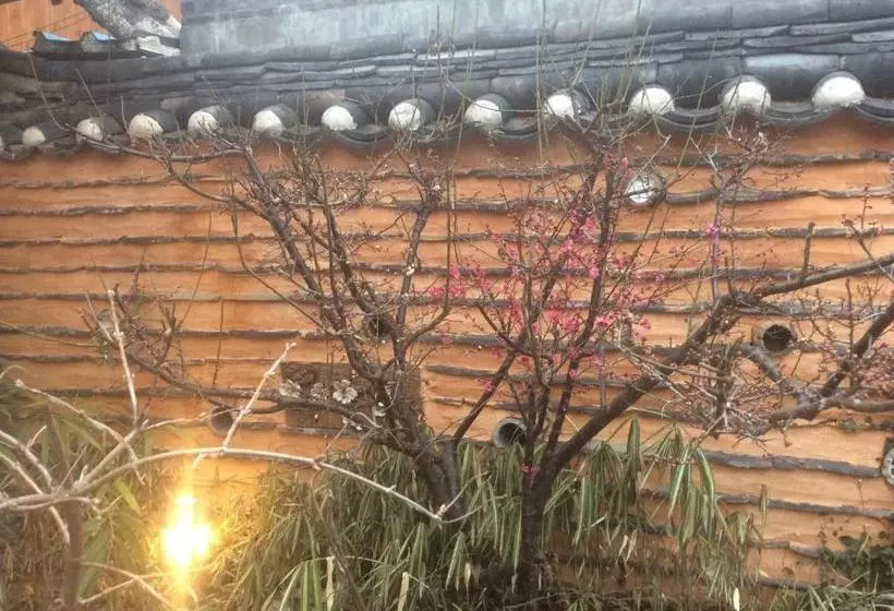 پانسیون Yangsajae