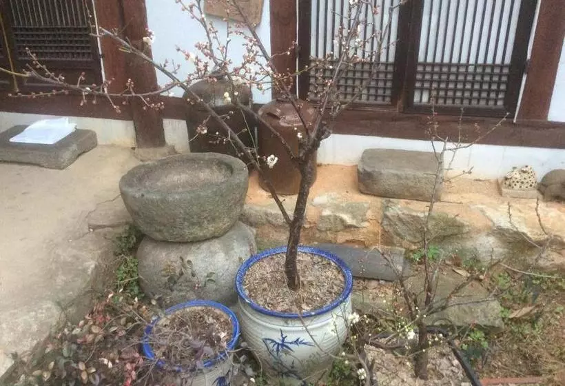 پانسیون Yangsajae