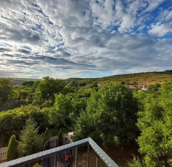 Pensiunea Daiana Residence