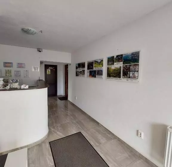 Pensiunea Daiana Residence