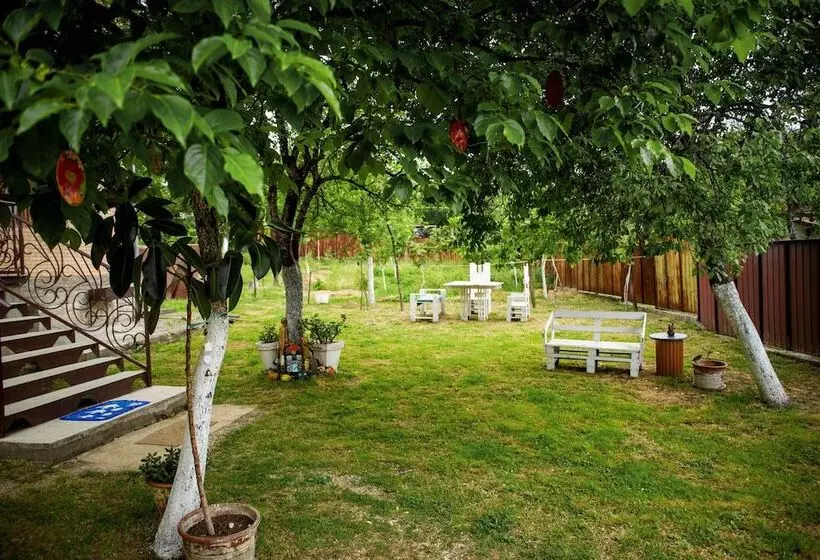 پانسیون Art House Kutateli