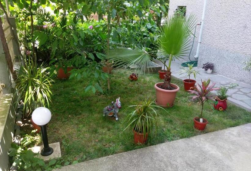 پانسیون Guest House Krasi