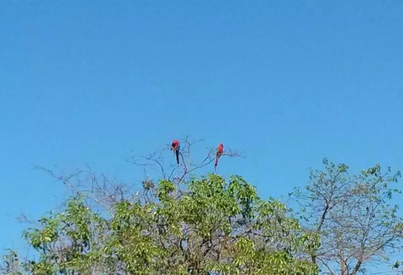 Majatalo Pousada Das Orquídeas