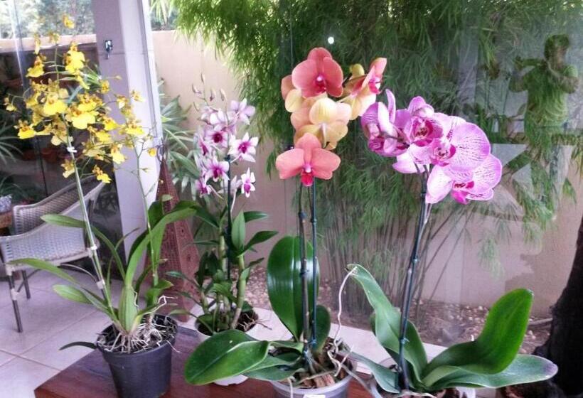 پانسیون Pousada Das Orquídeas