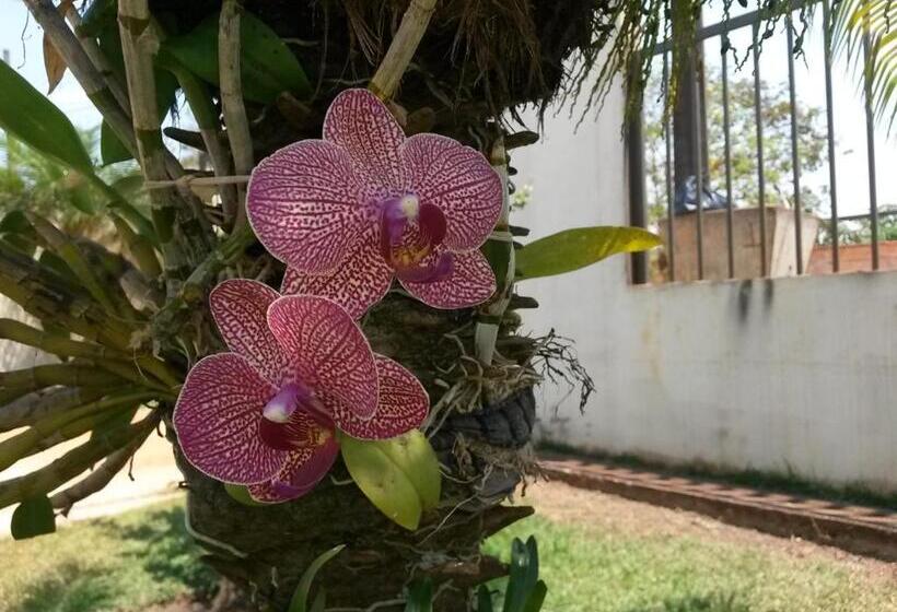 Pensão Pousada Das Orquídeas