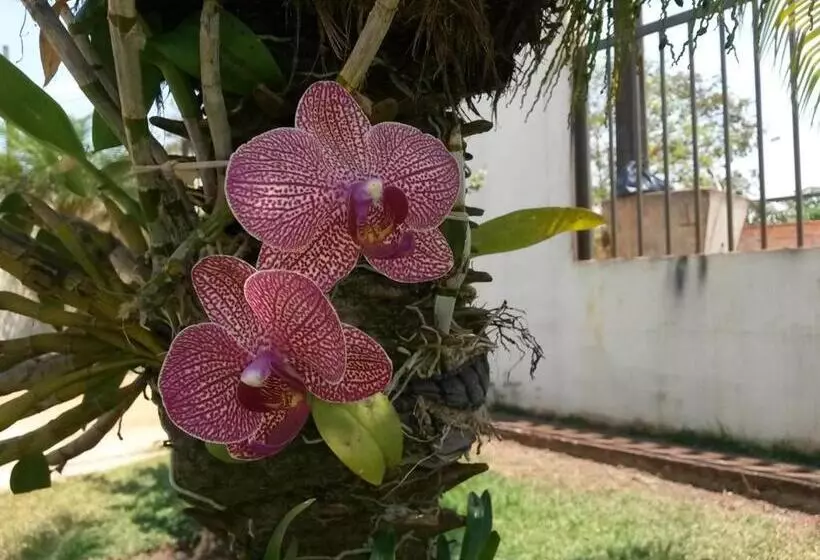 Majatalo Pousada Das Orquídeas
