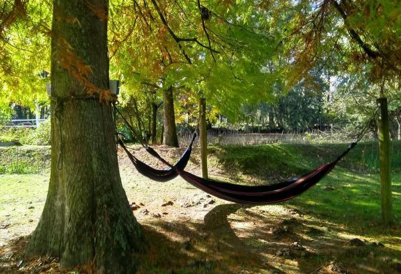 Pension Guest House Peter Flanders