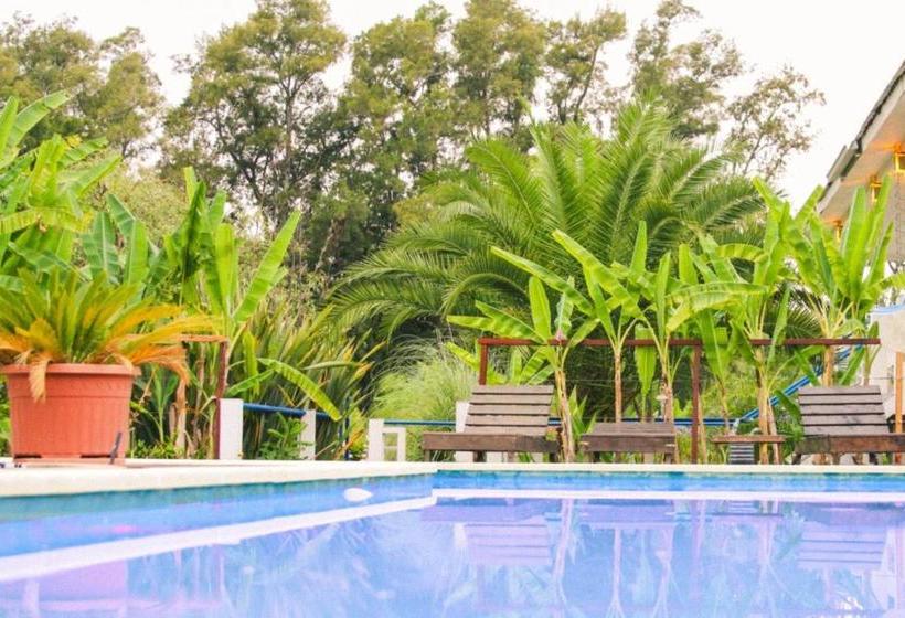 Pension Guest House Peter Flanders