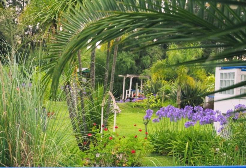 Pension Guest House Peter Flanders