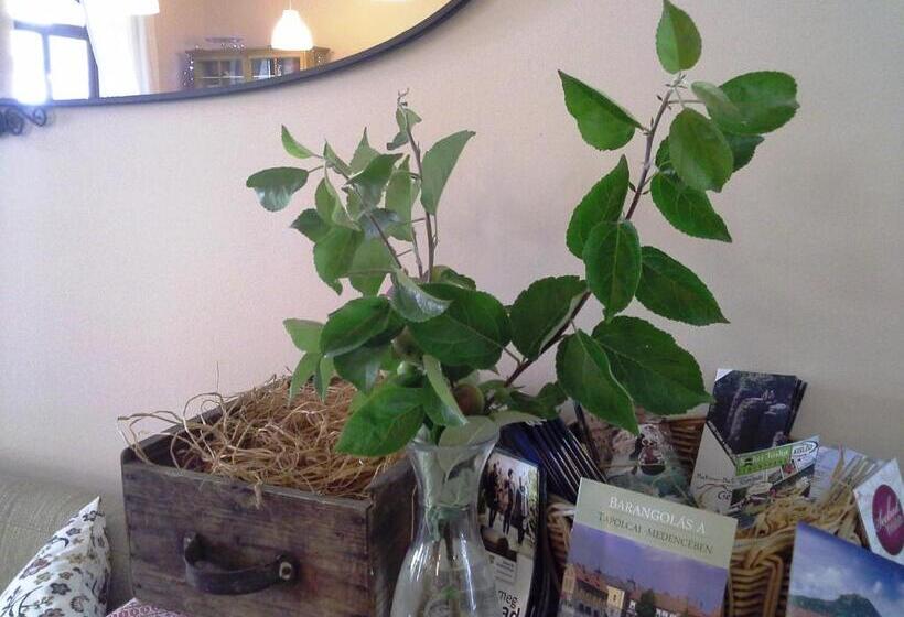 膳宿费 Malom Tó Vendégház Tapolca