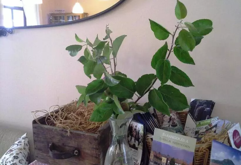 ペンション Malom Tó Vendégház Tapolca