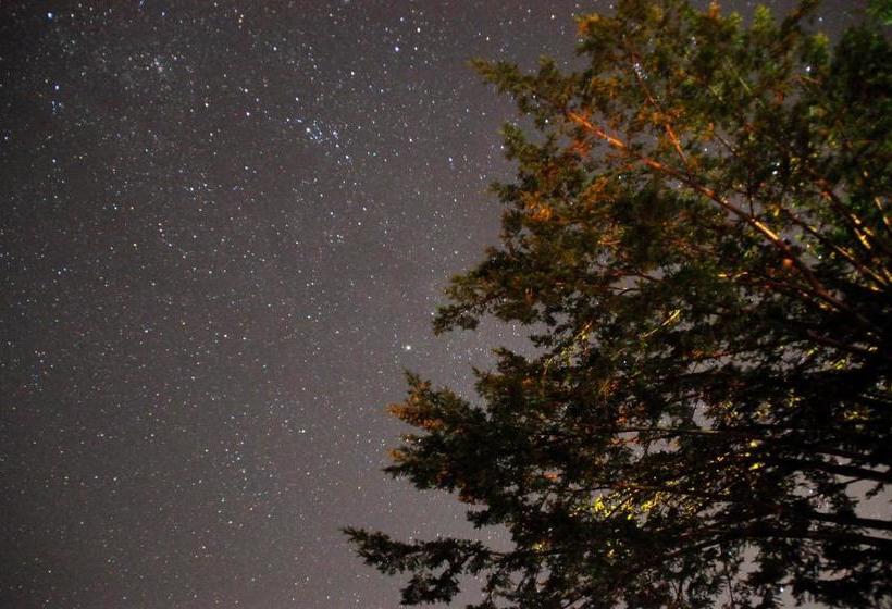 פנסיון Nikkorisou Backpackers Hostel