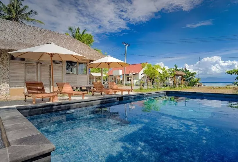 پانسیون Planet Nomadas Resort