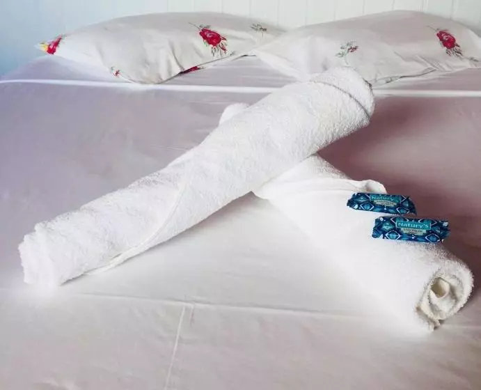 ペンション Pouso Da Celeste   Trindade